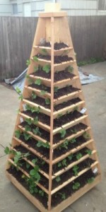 Vertical-Garden-Pyramid-Tower_02