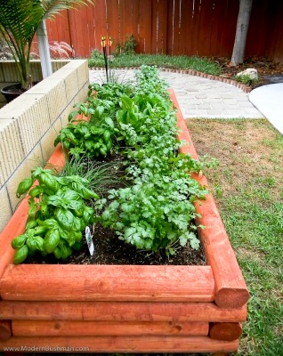 10 Ideas for a Raised Vegetable Garden Bed